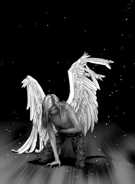 Возвращение «Ангела»